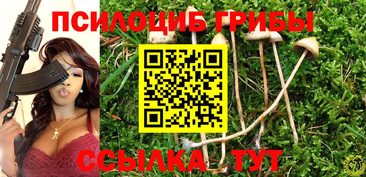 Воскресенск  Галлюциногенные грибы Cubensis  купить   Вход с VPN  Галлюциногенные грибы Magic Shrooms 